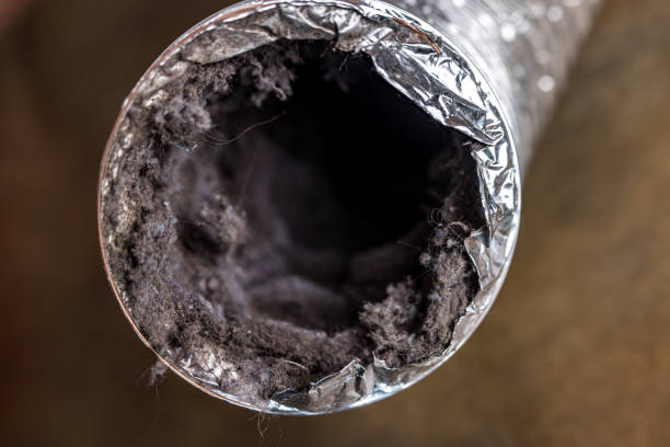 Best Air Duct Mold Removal  in Balm, FL