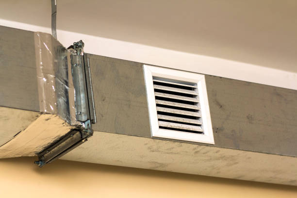 Best Dryer Vent Cleaning Services  in Balm, FL